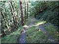 Llwybr ceffyl uwchben Afon Giedd  / Bridleway above Afon Giedd