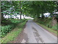 Minor road leading to Hawthorn Cottage