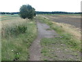 Public Footpath Near Railway Terrace, South Newsham