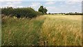 Path heading to Fringford