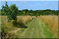 SU2239 : Path between fields near former Amesbury Junction by David Martin