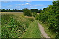 SU2239 : Path north from former Newton Tony Junction by David Martin
