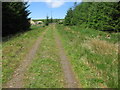 Track towards White Knowes