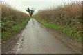 ST6757 : Paulton Lane by Derek Harper
