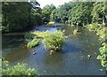 River Kelvin