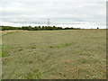 Mown field near Soothill