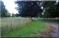 Track to Bodney Hall Farm