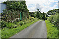 Ivy covered buildings along Botera Road