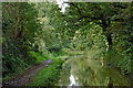 Shropshire Union Canal near Market Drayton