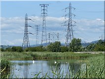 ST3283 : Wildlife, pylons and clouds, Newport Wetlands by Robin Drayton