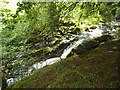 SD8367 : Small cascade on Stainforth Beck by Stephen Craven