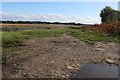 Field by Gooseacre Lane, Thorpe Row