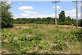 Pound Common, Woolbeding