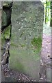 Benchmark on stone gatepost on NE side of Buttress