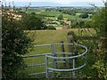 Field footpath near Edingley