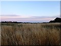 Street Barn Field