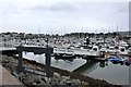 Conwy Quay marina (2)