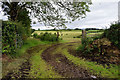 Muddy tracks to fields, Beragh