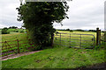 Gates along Laragh Road