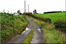 H5366 : Wet along Laragh Road by Kenneth  Allen