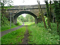 Ecklands Bridge, over the Trans-Pennine Trail, Thurlstone