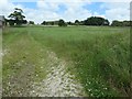 Field at Manor Farm, Thwing