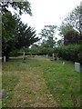 St Bartholomew, Wickham Bishops: churchyard (d)