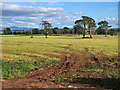 Field of cut grass near Udstonhead, Strathaven