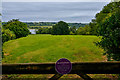 Blagdon : Grassy Field