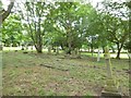 All Saints, Brightlingsea: churchyard (X)