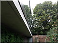 View of trees reflected in a glass-fronted block of flats on Swain