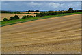 Rolling farmland north of Langford Lane Wood