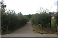 Path into Sweyne Park, Rayleigh