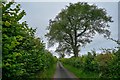 Nempnett Thrubwell : Country Lane