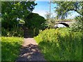 Sunshine under the bridge