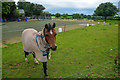 Nempnett Thrubwell : Regilbury Park Farm