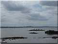 TQ7076 : Derelict boats seen from the Saxon Shore Way by Marathon