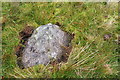 NY8105 : Benchmark on rock beside footpath on High Dukerdale by Roger Templeman