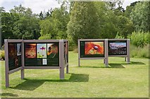 TL4557 : Cambridge University Botanic Garden : exhibition panels by Jim Osley