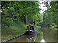 SJ6541 : Canal near Coxbank Bridge in Cheshire by Roger  D Kidd