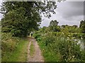 On the footpath next to the Kennet and Avon canal