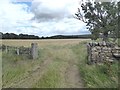 Gateway on the path from Peel Flatt to North Road