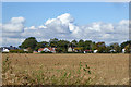 Houses on Trusses Road, Bradwell