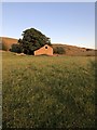 Disused Farm Building