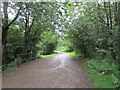 Footpath near Tintwistle Bridge