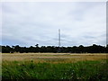 Looking towards the mast from Ferry Road