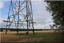 TQ6790 : Pylon by the A127, Laindon by David Howard