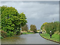 SJ6541 : Shropshire Union Canal near Coxbank, Cheshire by Roger  D Kidd