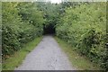 Bridle path in Sweyne Park, Rayleigh