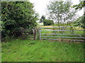 Llwybr ceffyl ger Coelbren / Bridleway near Coelbren